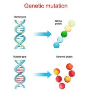 جهش ژنتیکی (Mutation) چیست؟ آشنایی با تغییرات DNA و نقش آن‌ها در سلامت و بیماری
