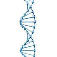 DNA چیست و چگونه اطلاعات ژنتیکی را ذخیره می‌کند؟